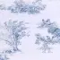 color display image
