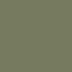 color display image