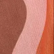 color display image