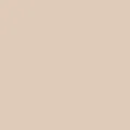 color display image
