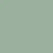 color display image