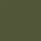 color display image