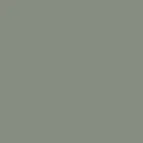 color display image