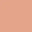 color display image