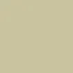 color display image