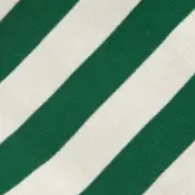 color display image