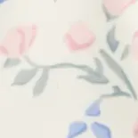 color display image