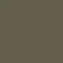 color display image