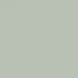 color display image