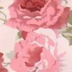 color display image