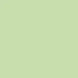 color display image