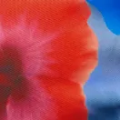 color display image