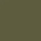 color display image