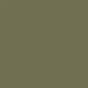 color display image