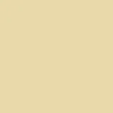 color display image