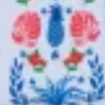color display image