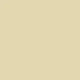 color display image