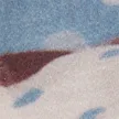 color display image