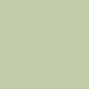 color display image