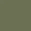 color display image