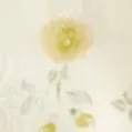 color display image