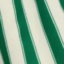 color display image