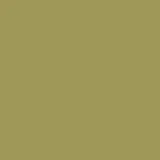 color display image