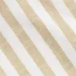 color display image