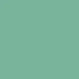 color display image