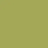 color display image
