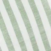 color display image