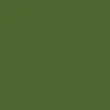 color display image