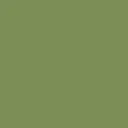 color display image