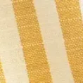 color display image