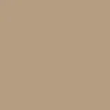 color display image