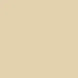 color display image