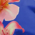 color display image