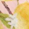 color display image