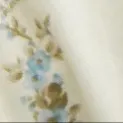 color display image