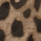 color display image