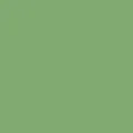 color display image