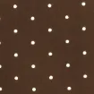 color display image
