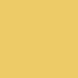 color display image