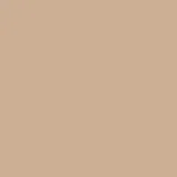 color display image