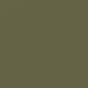 color display image