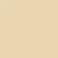 color display image