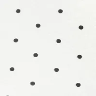 color display image