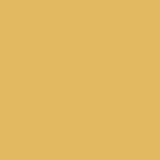 color display image