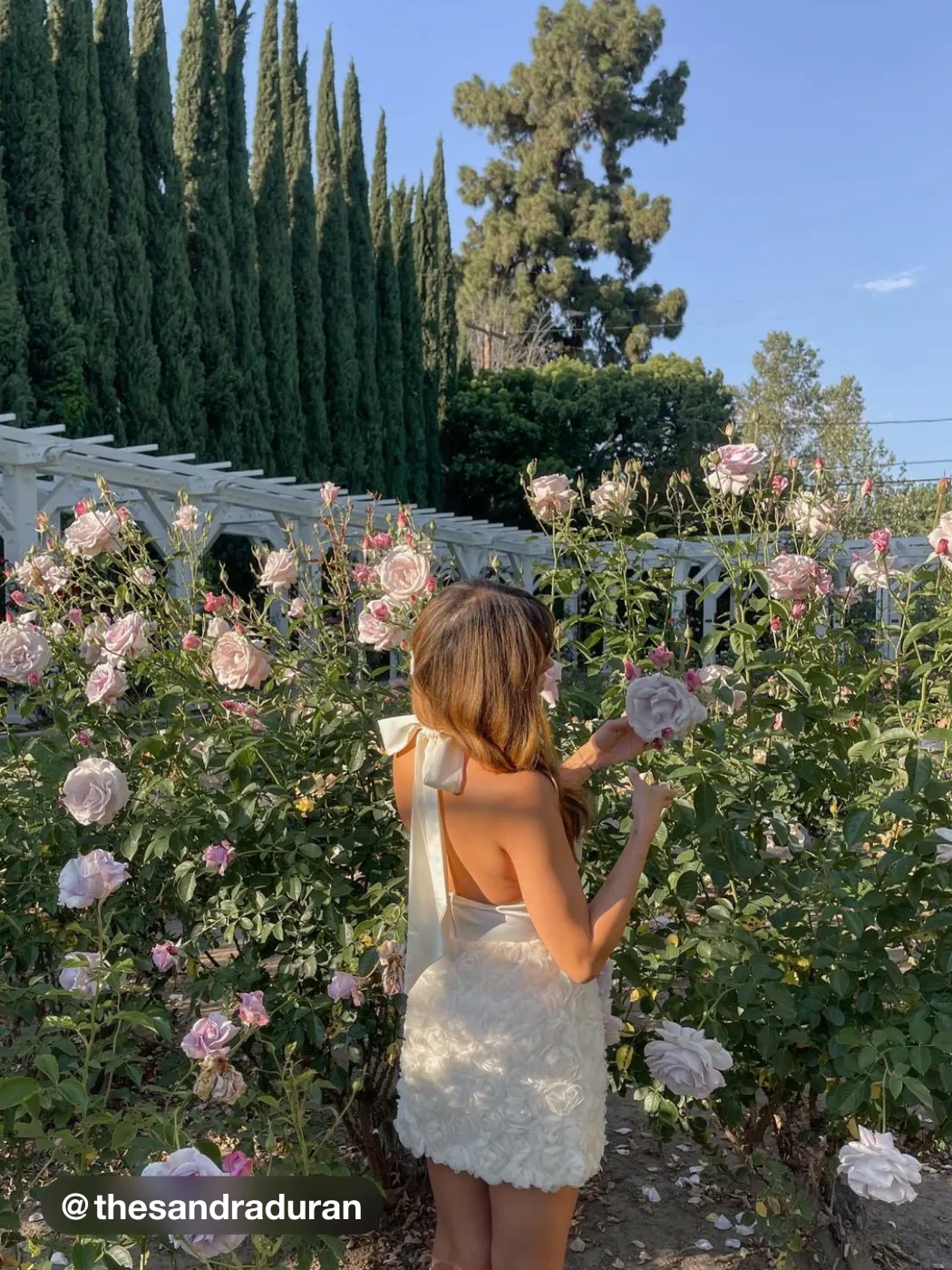 Minigonna a rete con rosette solide