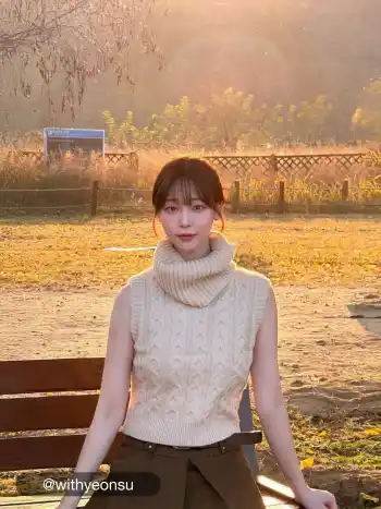 High Neck Solid Cable Knit Crop Vest